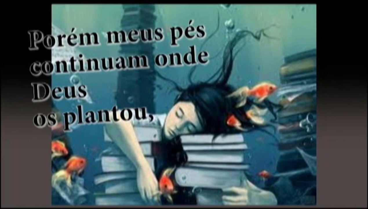 liberdadepelametade