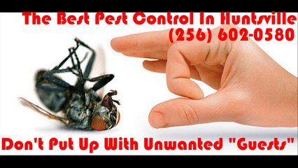 The Very best Pest Control In Huntsville.  Phone Nowadays