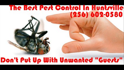 The Best Pest Control In Huntsville.  Get in touch with Right now