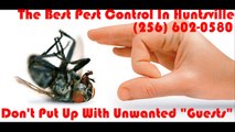 The Best Pest Control In Huntsville.  Get in touch with Right now