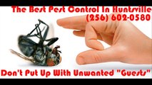 The Ideal Pest Control In Huntsville.  Phone These days