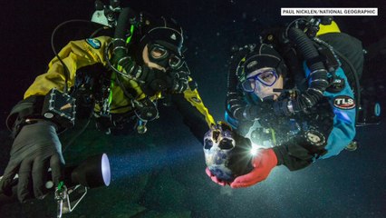 Hoyo Negro: A time capsule 'unequaled'