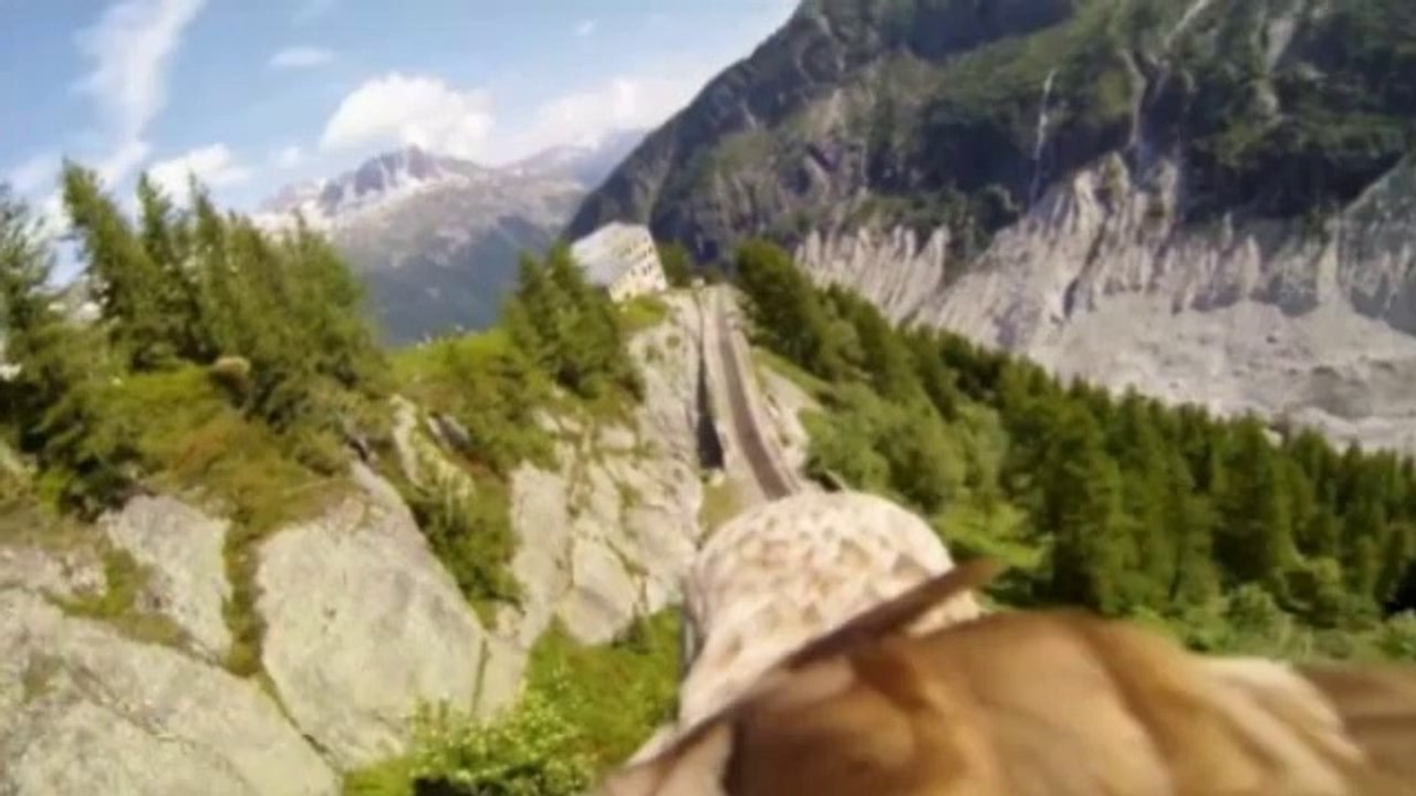 Euphoria