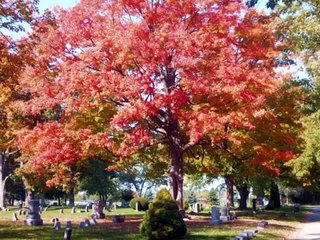 Poetic Visions Book Trailer