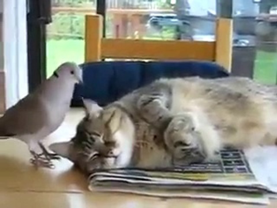 VID-20140319-WA0021