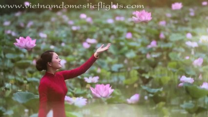 Vietnam Domestic Flights - Vietnam Airline