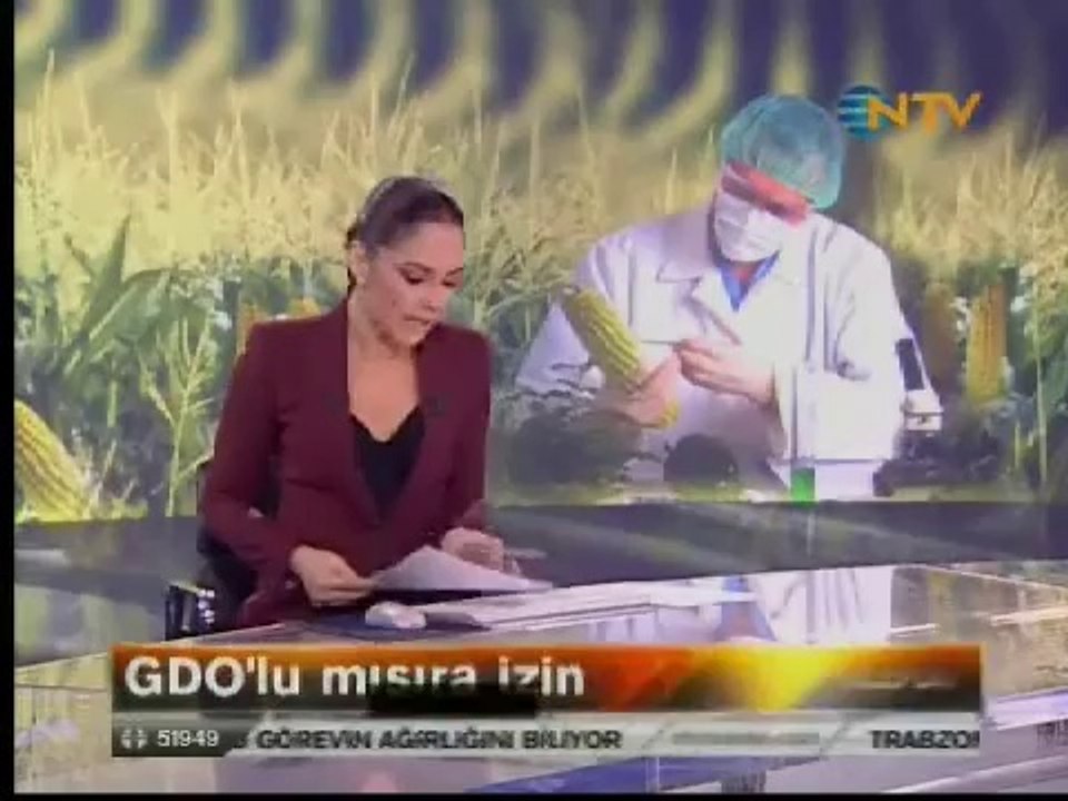 Gdo'lu 13 mısır çeşidi ithal edilebilmesine izin çıktı- Dr. Hakan Yardımcı