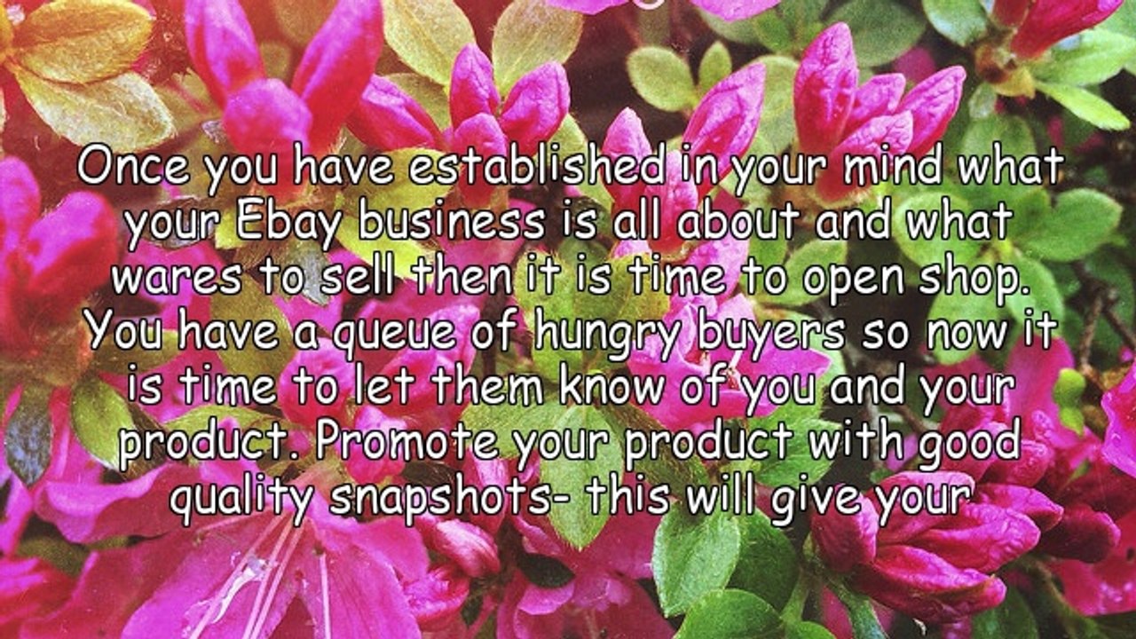 Ebay Business - Longer Bidding Time The Bigger The Bank Balance