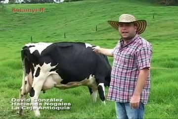 30 de abril de 2014 Caballos cuarto de milla