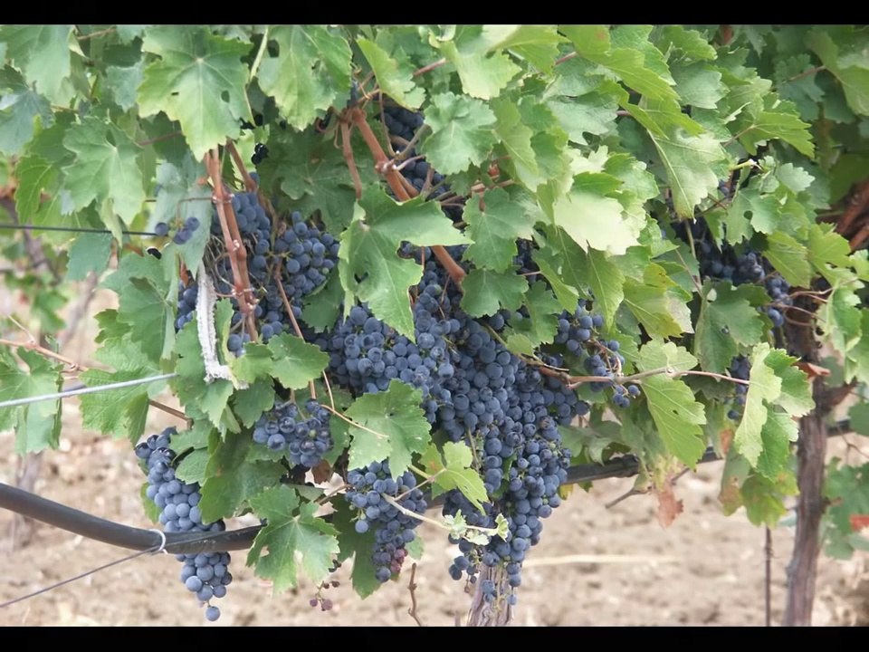 Wyprawa rowerowa na Krym 2012 część 3