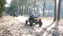 Enjoying the forrest