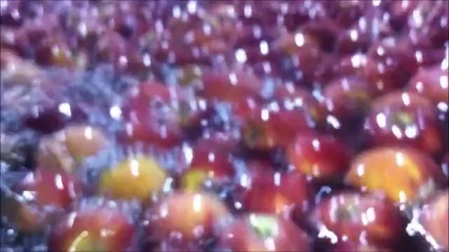 SS YAZIR KÖYÜ TARIMSAL KALKINMA KOOPERATİFİ & +90 242 649 42 21