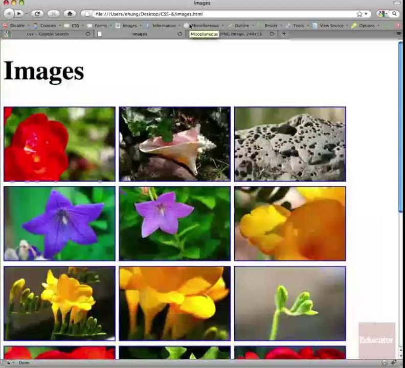 08. Images in CSS
