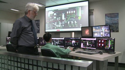 Hong Kong destruye 30 toneladas de marfil