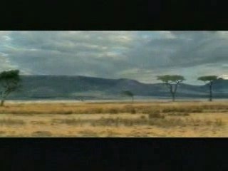 Connasse d'antilope 😄