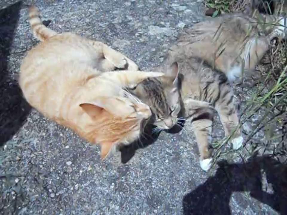 Léa et Léo à Giraumont mag98 M&F s