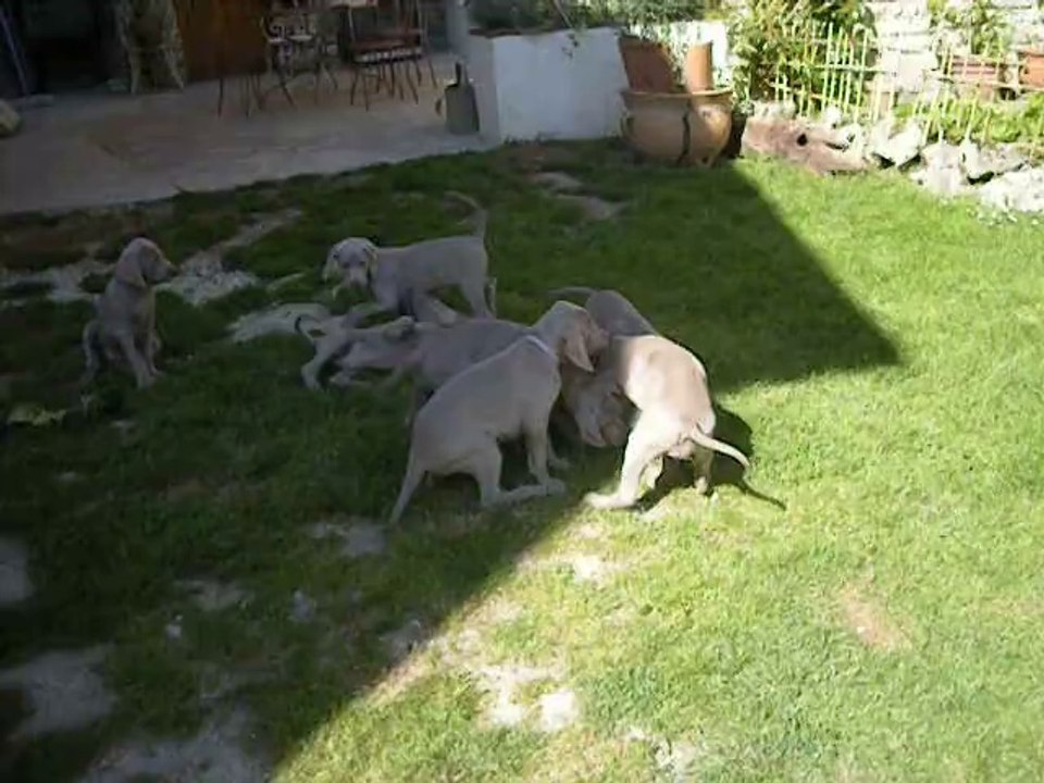 le jeu du mouchoir revisité