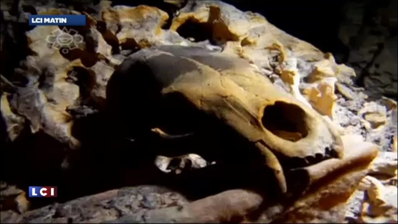 Vidéo Un squelette de 13.000 ans confirme les origines des Amérindiens - Actu