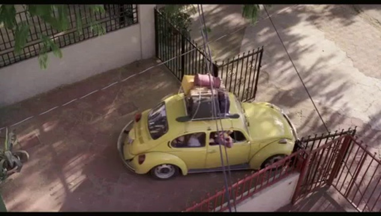 Les drôles de poissons-chats