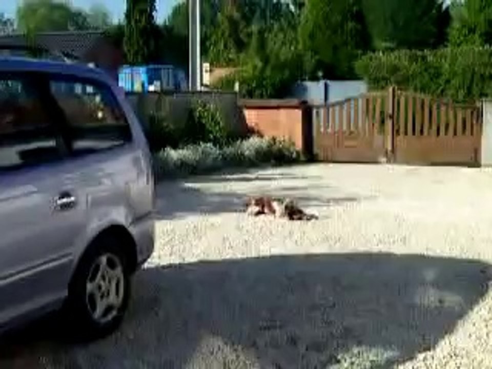 ice foufou 16 mai 2014