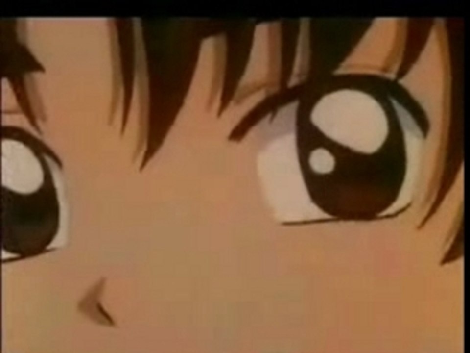 Aimer Sak. Lio.