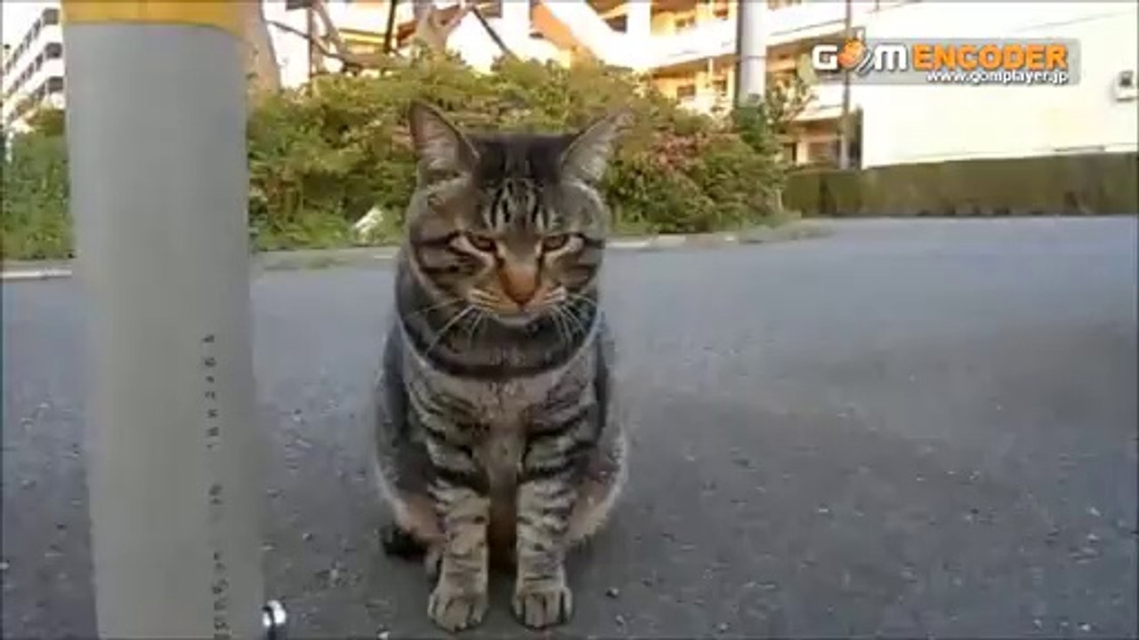 大学受験を控えたあなたが本当に知りたかったのは,これだった！東京大学と並ぶ難関★京都大学に合格した！今だから話す本音　実践 評価 評判 検証 動画 ブログ 特典 購入 レビュー