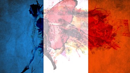 Butterflies Morphing