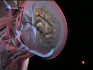 Golf: Matrimonio mortal (TCE)