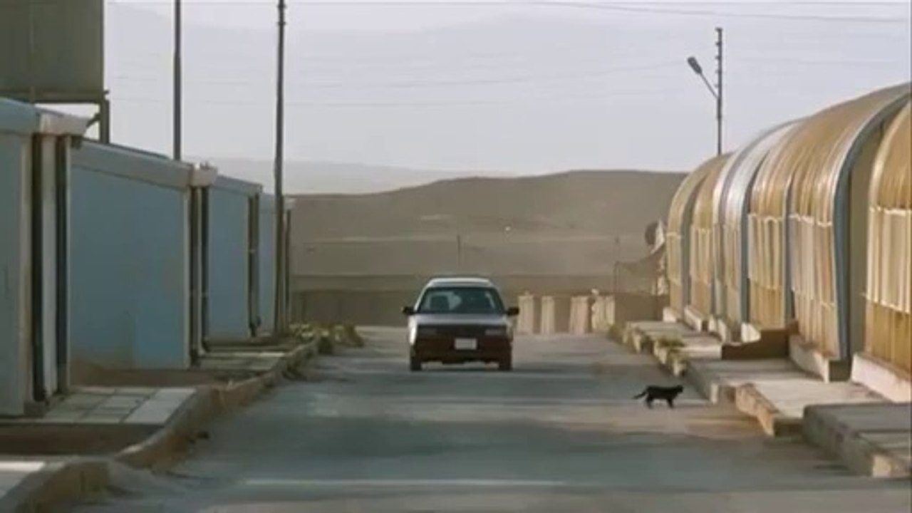 the black cat from Zero Dark Thirty