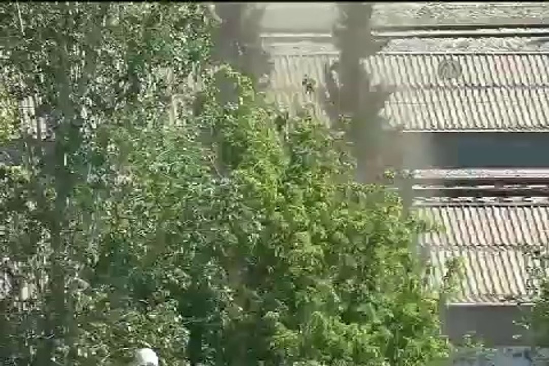 aa_video_20140516_2329393_weblow_w
