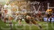 Online Live Saracens vs Harlequins