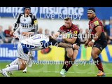 Saracens vs Harlequins Live  Streaming