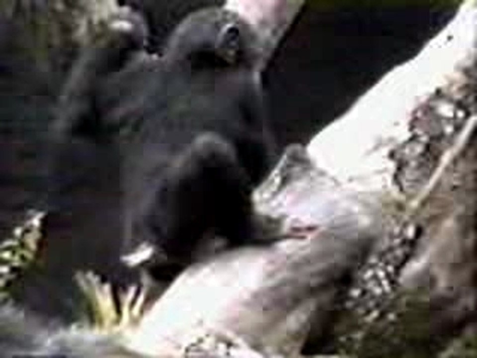 doigt qui pue du cul