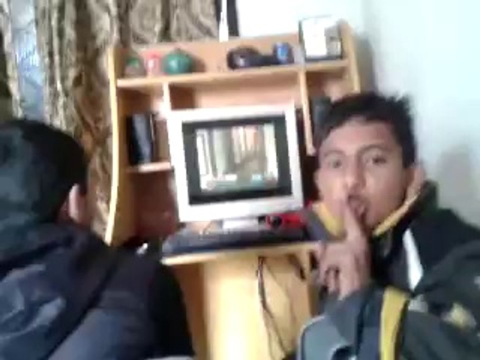 funny videos