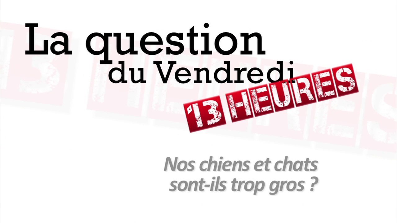 Nos chiens et chats sont-ils trop gros ?