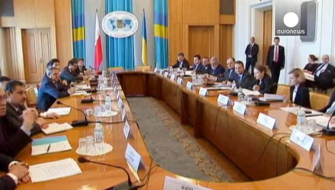 UN alarmed by human rights abuses in south east Ukraine as Poland lends Kyiv support
