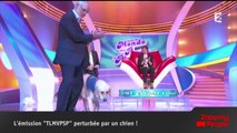 Cyril Hanouna annonce l'arrêt de 
