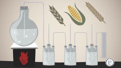 What's Inside - Vodka