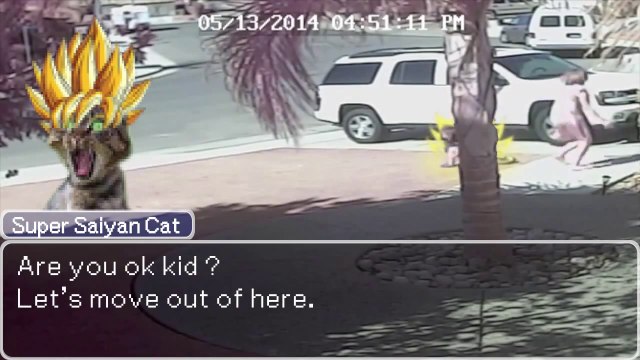 Super Saiyan family Cat Saved a kid... Hilarious parody!