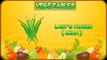Types of Vegetables | Animated Video For Kids | English Animation Video