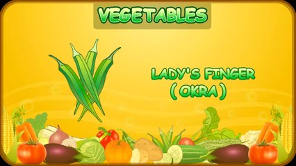 Types of Vegetables | Animated Video For Kids | English Animation Video