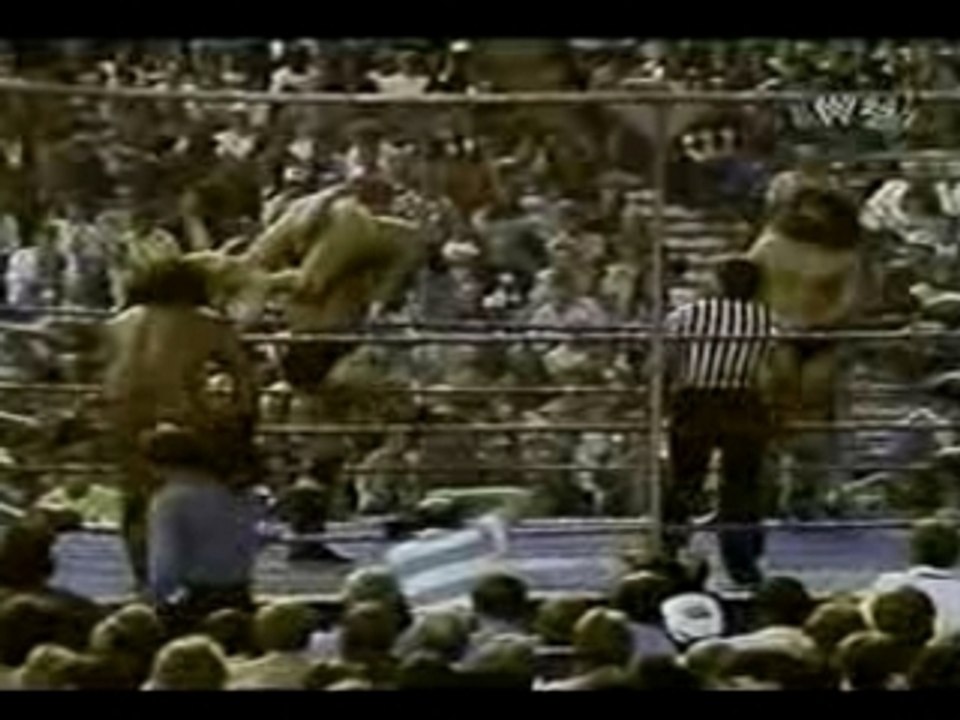 Brody & Barbarian vs  Gagne & Snuka