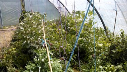 Potager Buzet 05/2014