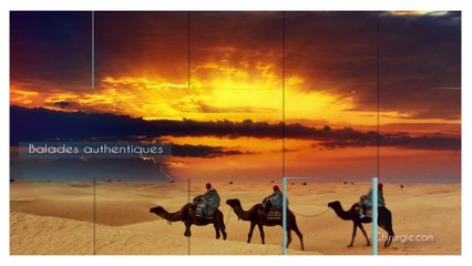 Tunisie 2014 - Tourisme Médical   iChirurgie.com