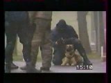 Cachorros de ataque policiais