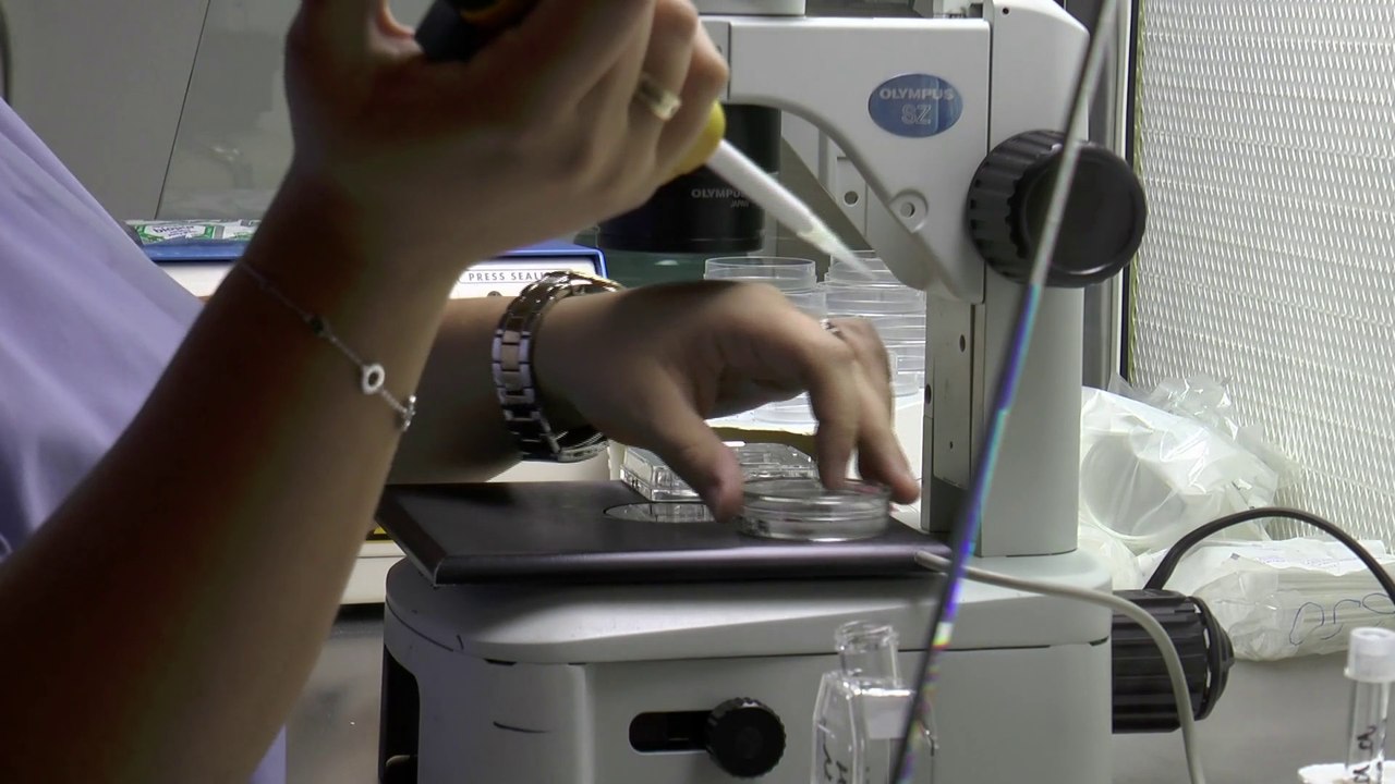 Décryptage - saison 15 - Dons de sperme illégaux, dernier recours à la PMA?