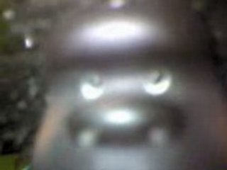 Le Singe Murphy L'oeil du tigre