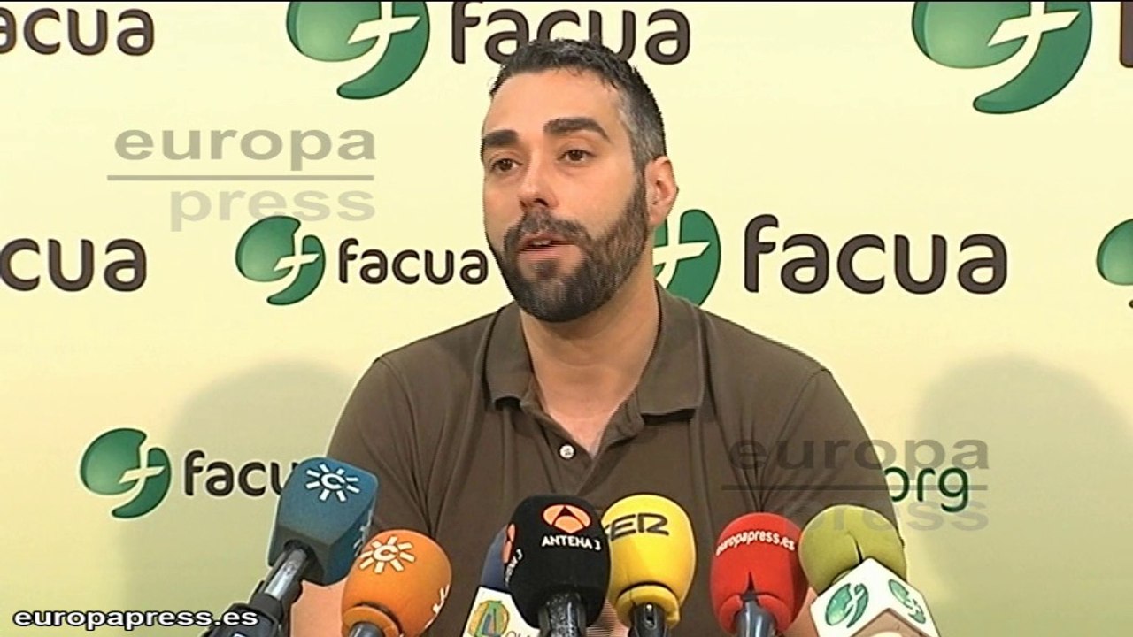 Facua cree "insultante" mensaje de Gobierno sobre tarifa luz