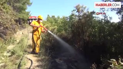 Manavgat'ta Orman Yangını