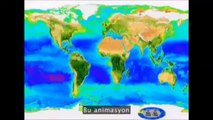 _Doğadan_ ilham ve bizi bekleyen teknoloji